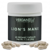 Verdant Leaf - Lion's Mane - Image 2